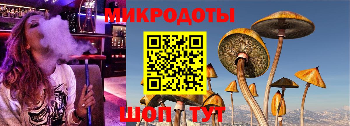 Галлюциногенные грибы Psilocybine cubensis  Вход с VPN  где продают наркотики  Псилоцибиновые грибы Cubensis  Саранск 